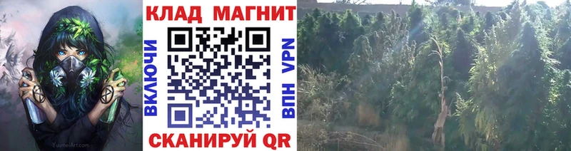 ГАШ Красавино