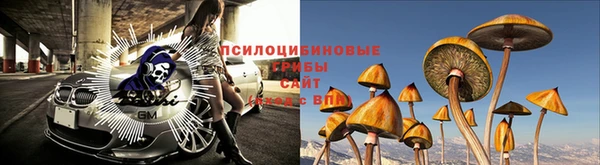 не бодяженный Корсаков