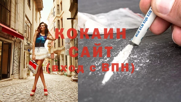 крисы Коряжма