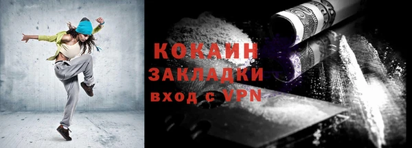 крисы Коряжма