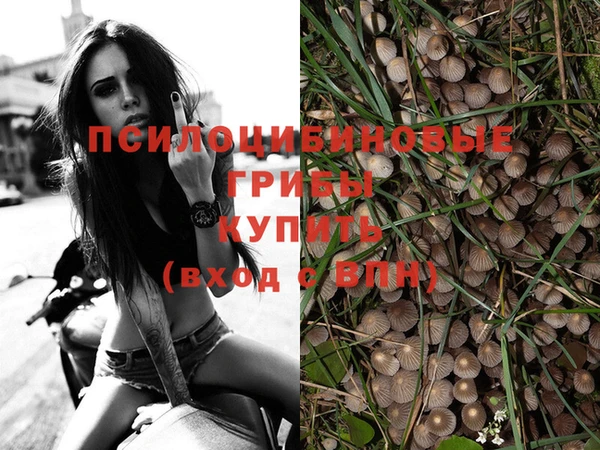 гидра Кукмор