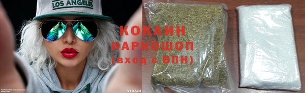 крисы Коряжма