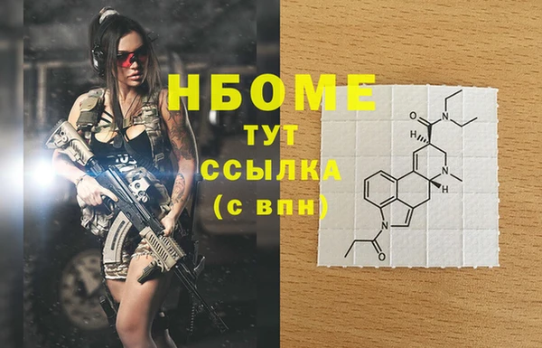 крисы Коряжма