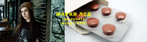 крисы Коряжма