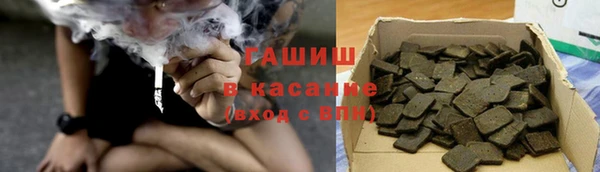 крисы Коряжма