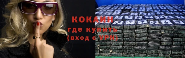 шишки Киренск