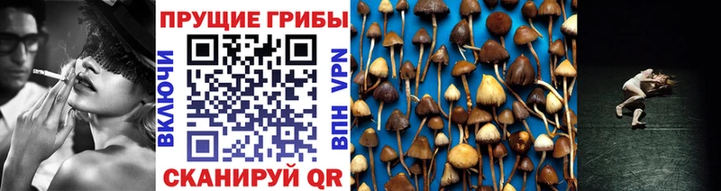 купить закладку  Красавино  Галлюциногенные грибы ЛСД 